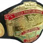 WWC WORLD WRESTLING COUNCIL TELEVISION WRESTLING CHAMPIONSHIP BELT ADULT SIZE