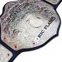 FANDU BIG GOLD RIC FLAIR CHAMPIONSHIP BELT ADULT SIZE BLACK LEATHER STRAP