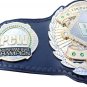 PCW CRUISERWEIGHT WRESTLING CHAMPIONSHIP 3D DUAL PLATED NICKLE BELT BLACK LEATHER STRAP ADULT SIZE