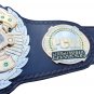 PCW CRUISERWEIGHT WRESTLING CHAMPIONSHIP 3D DUAL PLATED NICKLE BELT BLACK LEATHER STRAP ADULT SIZE