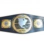 NXT NORTH AMERICAN WRESTLING CHAMPIONSHIP BELT BLACK LEATHER STRAP ADULT SIZE
