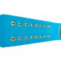 INTERCONTINENTAL WRESTLING CHAMPIONSHIP BELT LIME BLUE LEATHER STRAP