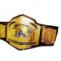 WORLD CLASS WRESTLING ASSOCIATION HEAVYWEIGHT WRESTLING CHAMPIONSHIP BELT BLACK LEATHER STRAP