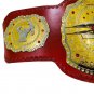 TNA LEGENDS WRESTLING CHAMPIONSHIP BELT ADULT SIZE