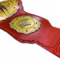 TNA LEGENDS WRESTLING CHAMPIONSHIP BELT ADULT SIZE