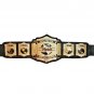 TNA WORLD TAG TEAM WRESTLING CHAMPIONSHIP BELT ADULT SIZE BLACK LEATHER STRAP