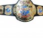 ECW WORLD HEAVYWEIGHT HARDCORE WRESTLING CHAMPIONSHIP BELT ADULT SIZE BLACK LEATHER STRAP