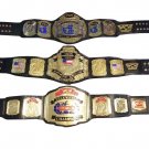 WCW WORLD HEAVYWEIGHT UNITED STATES TELEVISION WRESTLING CHAMPIONSHIP 3 BELT DEAL ADULT SIZE