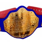 FANDU BIG GOLD CLASSIC WRESTLING CHAMPIONSHIP CUSTOM MADE BELT ADULT SIZE BLUE RELEATHER