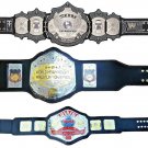 UNDERTAKER SIGNATURE SERIES AND AWA WORLD HEAVYWEIGHT AND TAG TEAM WRESTLING CHAMPIONSHIP 3 BELTS