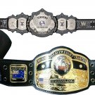 UNDERTAKER 30 YEARS SIGNATURE SERIES AND NWA DOMED GLOBE WRESTLING CHAMPIONSHIP 2 BELT