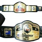 EUROPEAN AND NWA DOMED GLOBE WORLD,S HEAVYWEIGHT WRESTLING CHAMPIONSHIP 2 BELT