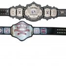 UNDERTAKER 30 YEARS SIGNATURE SERIES AND NWA TELEVISION HEAVYWEIGHT WRESTLING CHAMPIONSHIP 2 BELT