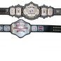 UNDERTAKER 30 YEARS SIGNATURE SERIES AND NWA TELEVISION HEAVYWEIGHT WRESTLING CHAMPIONSHIP 2 BELT