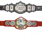 UNDERTAKER 30 YEARS SIGNATURE SERIES AND NWA UNITED STATES HEAVYWEIGHT WRESTLING CHAMPIONSHIP 2 BELT