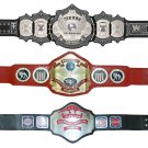 UNDERTAKER SIGNATURE & NWA TELEVISION & UNITED STATES HEAVYWEIGHT WRESTLING CHAMPIONSHIP 3 BELTS