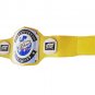 GTS HARDCORE WRESTLING CHAMPIONSHIP YELLOW LEATHER STRAP BELT ADULT SIZE