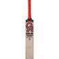 CA Plus 15000 Cricket Bat Players Edition 7 Star Premium Quality