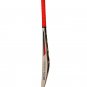 CA Plus 15000 Cricket Bat Players Edition 7 Star Premium Quality