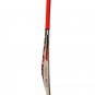 CA Plus 15000 Cricket Bat Players Edition 7 Star Premium Quality