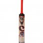 CA Plus 15000 Cricket Bat Players Edition 7 Star Premium Quality