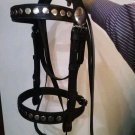 NEW Fancy Stitch Tack Horse Leather Bridle Black Color Studded Style With Reins Full Size Bridle