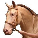 NEW Fancy English Style Tack Horse Leather Bridle Tan Brown Color With Reins Full Size Bridle
