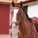 New Western Engraved Gold Inlay Horse Tan Brown Leather Spanish Bridle & Reins Set Size Draft
