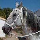 NEW Fancy Tack Horse Leather English Bridle White Color Fringe Style With Reins Full Size Bridle