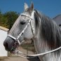 NEW Fancy Tack Horse Leather English Bridle White Color Fringe Style With Reins Full Size Bridle