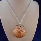 Fashion Jewelry, 16” Scallop Shell Pendant S123, Natural, Different and Unique