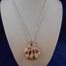 Fashion Jewelry, 16” Scallop Shell Pendant S105, Natural, Different and Unique