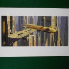 Star Wars Phantom Menace 1999 Doug Chiang Portfolio Print #14 Theed City