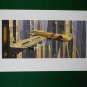 Star Wars Phantom Menace 1999 Doug Chiang Portfolio Print #14 Theed City