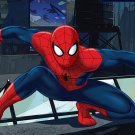 Spiderman Edible image Cake topper decoration