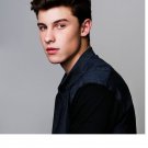 Shawn Mendes Party Edible image Cake topper decoration