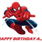 Spiderman Action Edible image Cake topper decoration