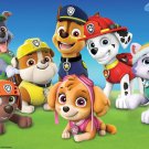 Paw Patrol Party  Edible image Cake topper decoration