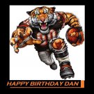 Cincinnati Bengals Party Edible image Cake topper decoration