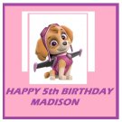 Paw Patrol Skye Party  Edible image Cake topper decoration