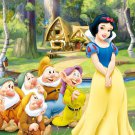 Snow White Edible image Cake topper decoration