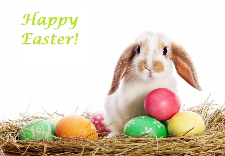 Happy Easter w/ Bunny Edible image Cake topper decoration