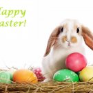 Happy Easter w/ Bunny Edible image Cake topper decoration