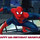 Spiderman Edible image Cake topper / cupcake decoration
