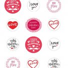 Valentines Day  Edible image CupCake topper decoration