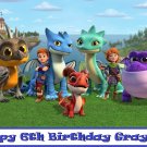 Dragons Rescue Riders Edible image Cake topper decoration
