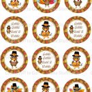Thanksgiving Edible Cupcake Topper Decoration