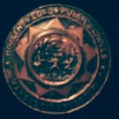 Pin