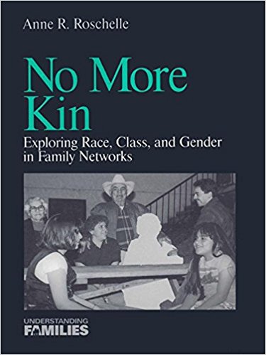 Ebook 978-0761901594 No More Kin: Exploring Race, Class, and Gender in Family Networks (Understan