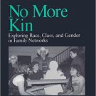 Ebook 978-0761901594 No More Kin: Exploring Race, Class, and Gender in Family Networks (Understan